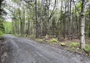 1 Road a