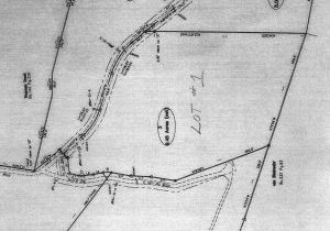 Lot 1