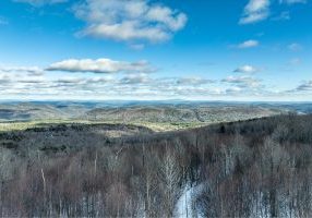 Lot 2-0 Higley Hill Rd Dover VT VT - JHull Photo-2