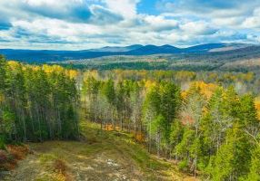 Mountain Ridge-Lot 1