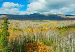 Mountain Ridge-Lot 3